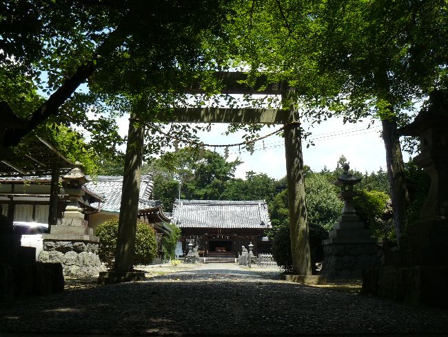 ���c�_���{