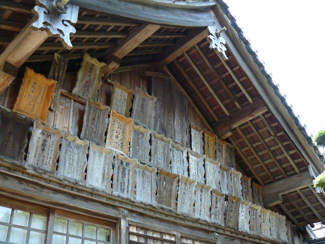 ���c�_���{