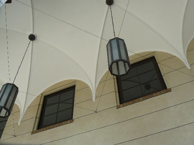 �L���s���