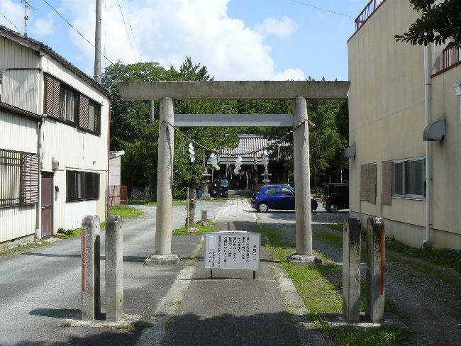 ���_����