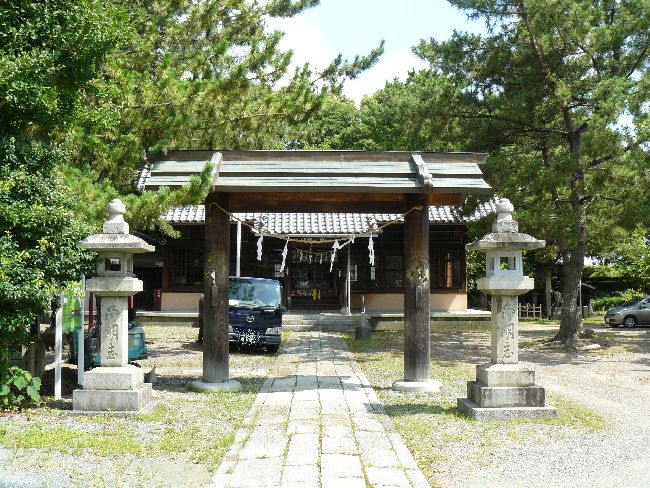 ���_����