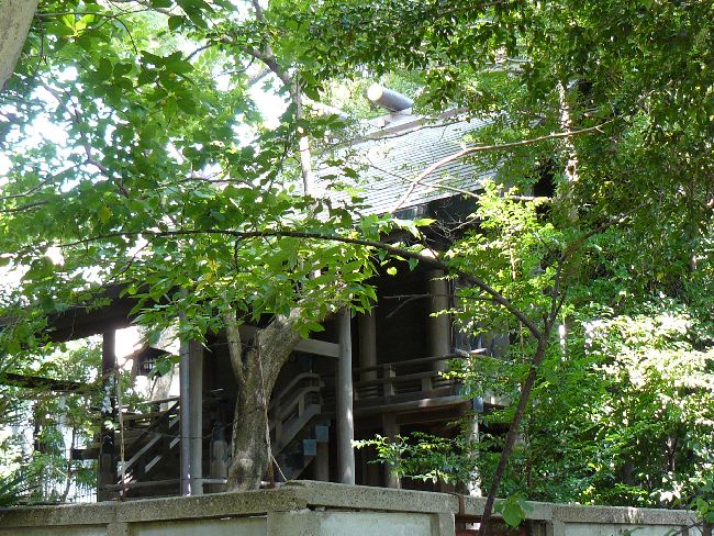 ���_����