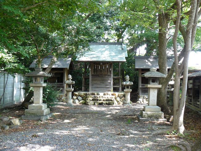 ���_����