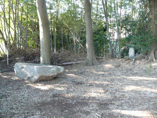 �O�͍���������