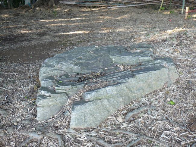 �O�͍���������