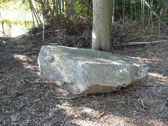 �O�͍���������