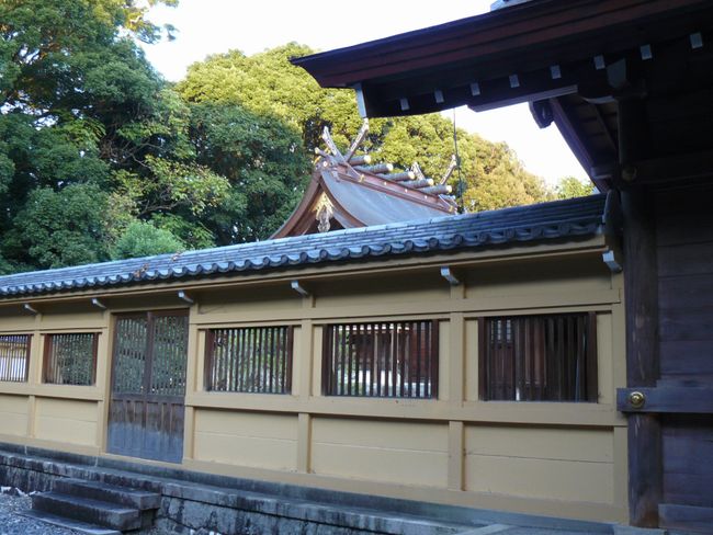 �u���_��