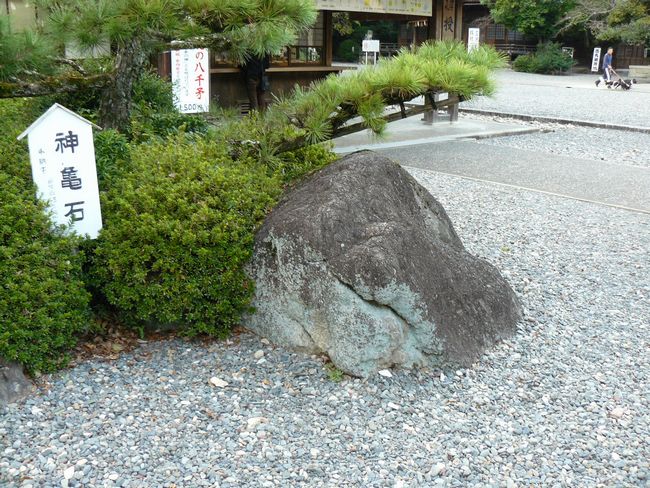 �u���_��