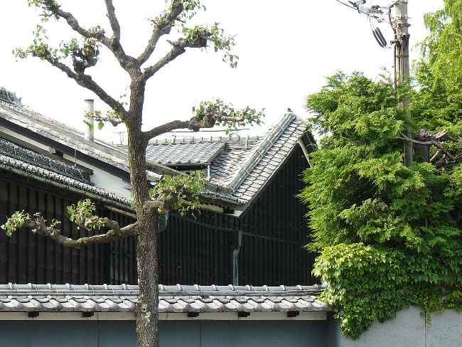 �x�c�ƏZ��