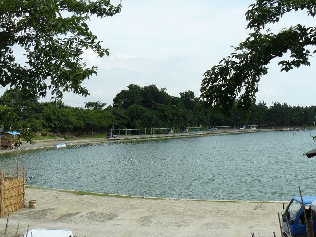 �Ó�����