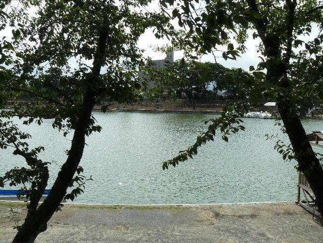 �Ó�����